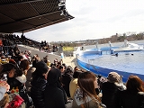 京都水族館