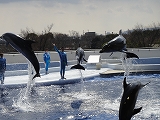 水族館