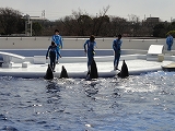 京都水族館