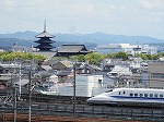 スカイテラス