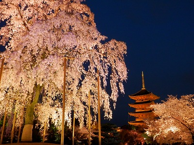 東寺